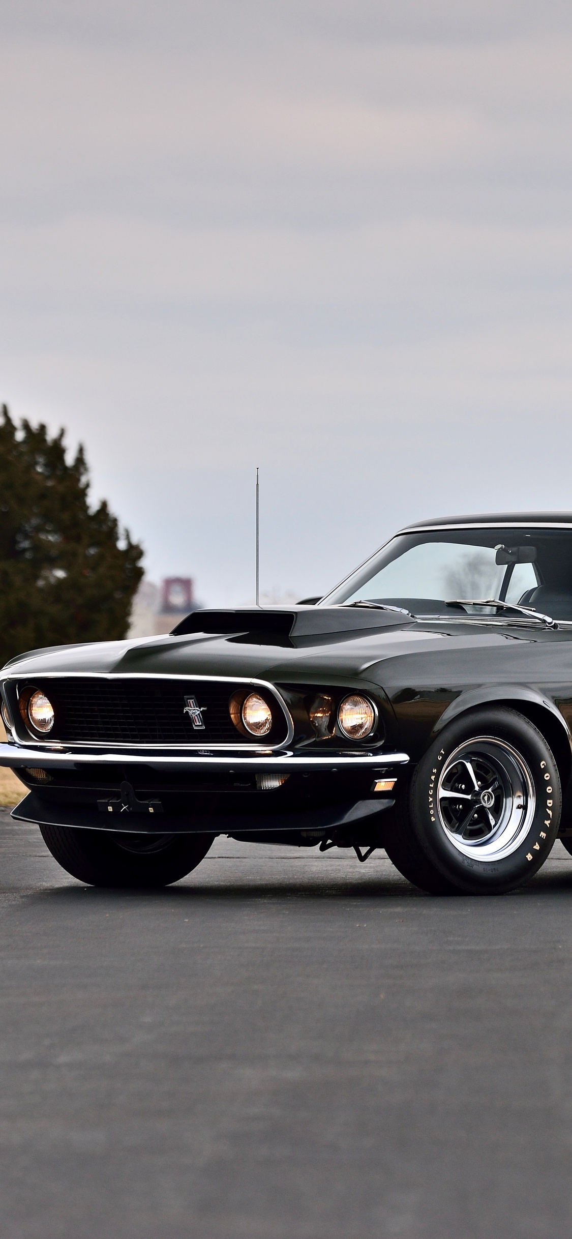 Ford Mustang Boss 429 Wallpapers