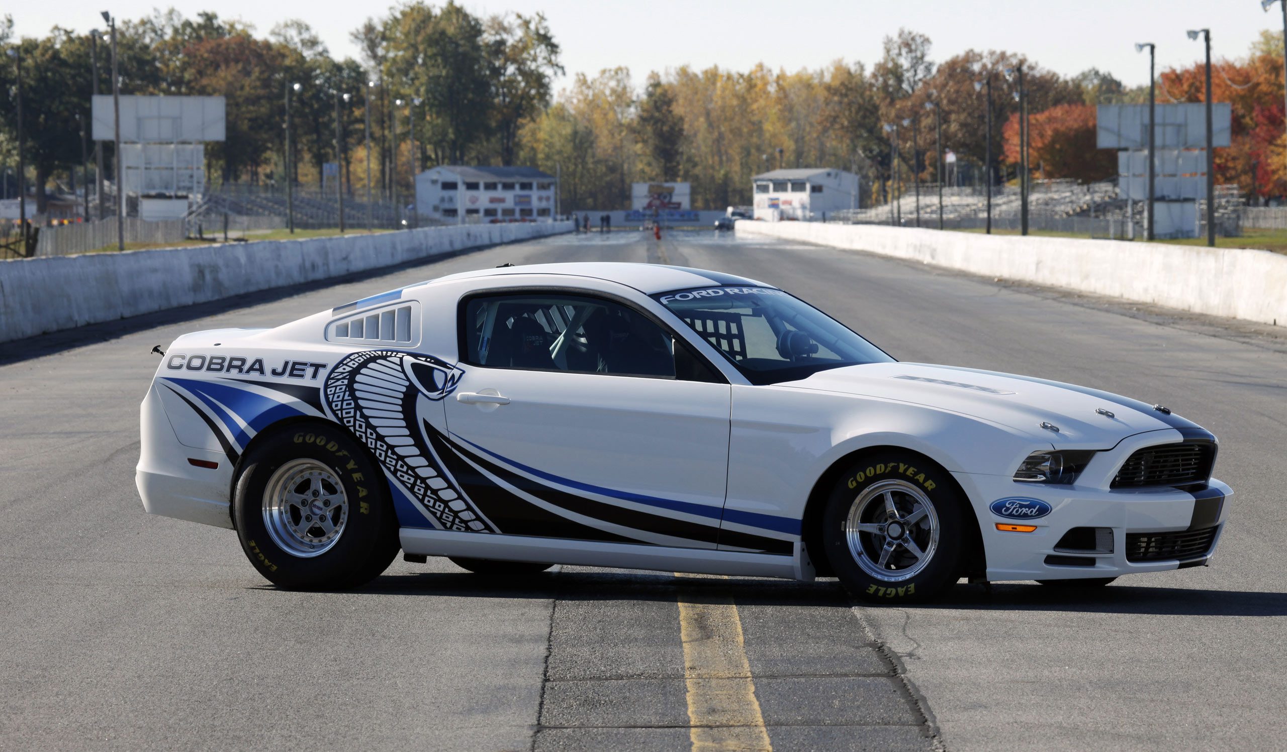 Ford Mustang Cobra Jet Wallpapers