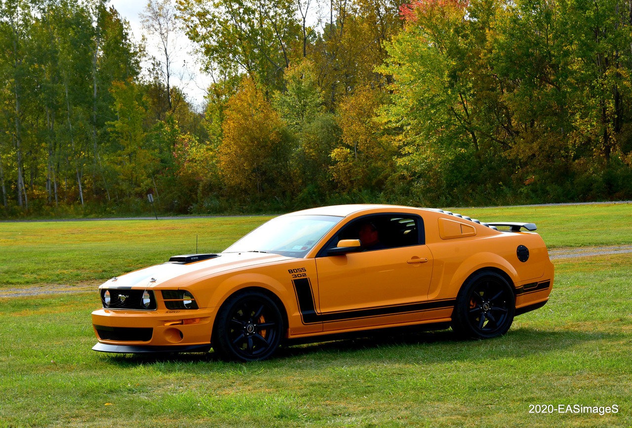 Ford Mustang Saleen S302 Parnelli Jones Limited Edition Wallpapers