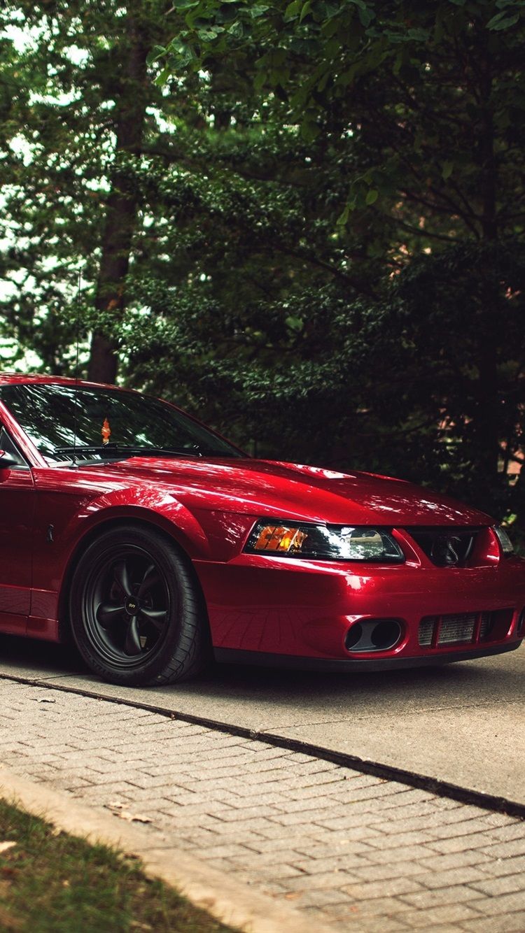 Ford Mustang Svt Cobra Wallpapers