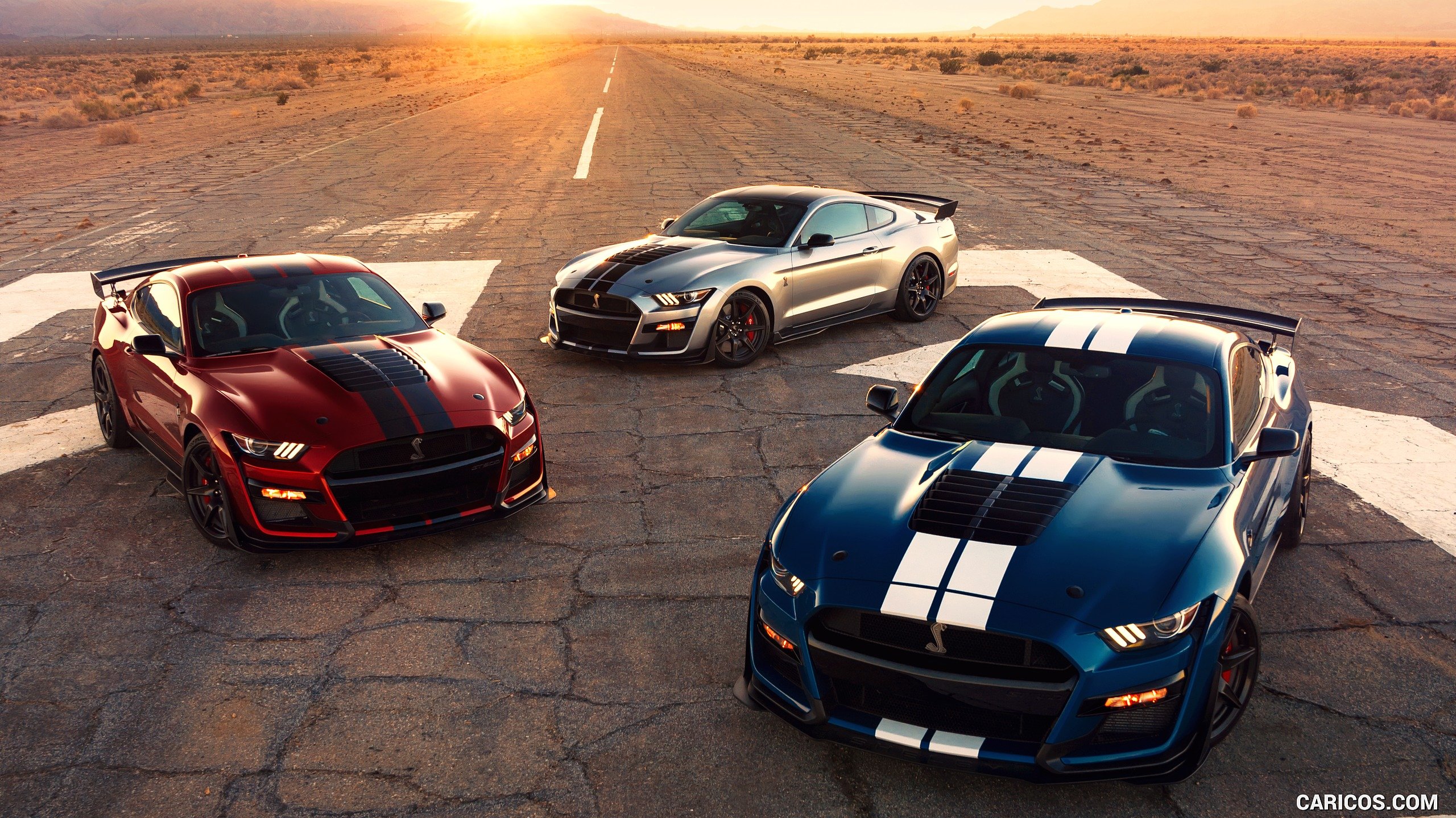 Ford Shelby Gt500 Wallpapers