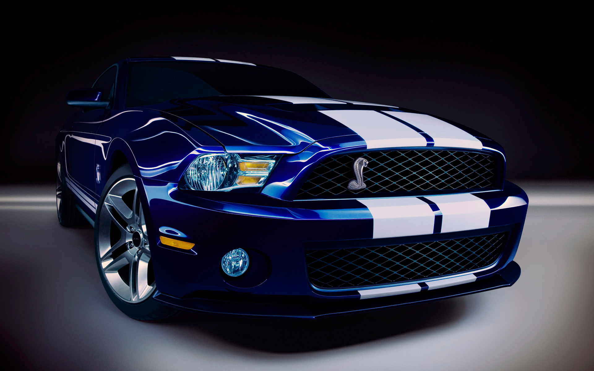 Ford Shelby Gt500 Wallpapers