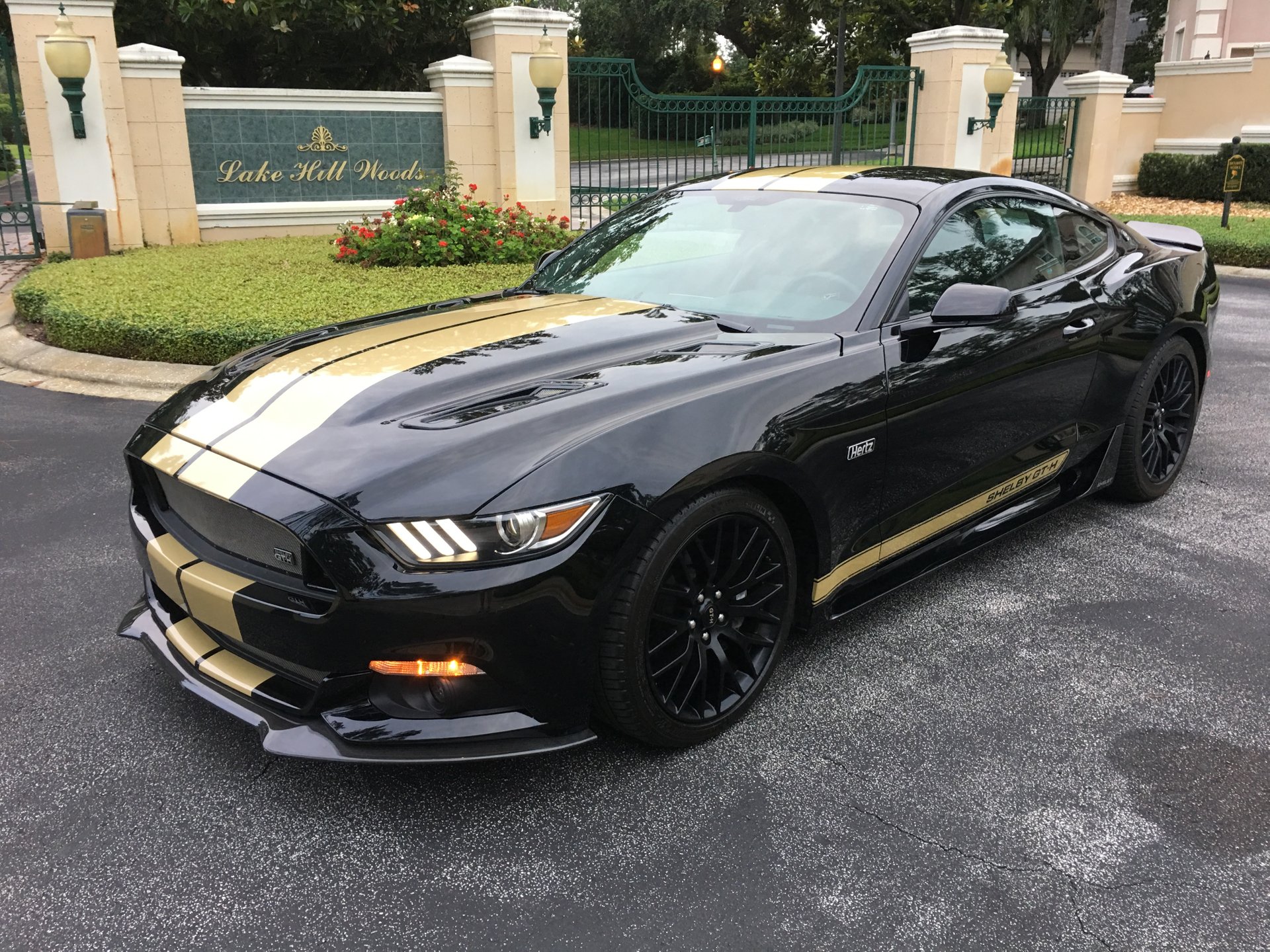 Ford Shelby Gt-H Wallpapers