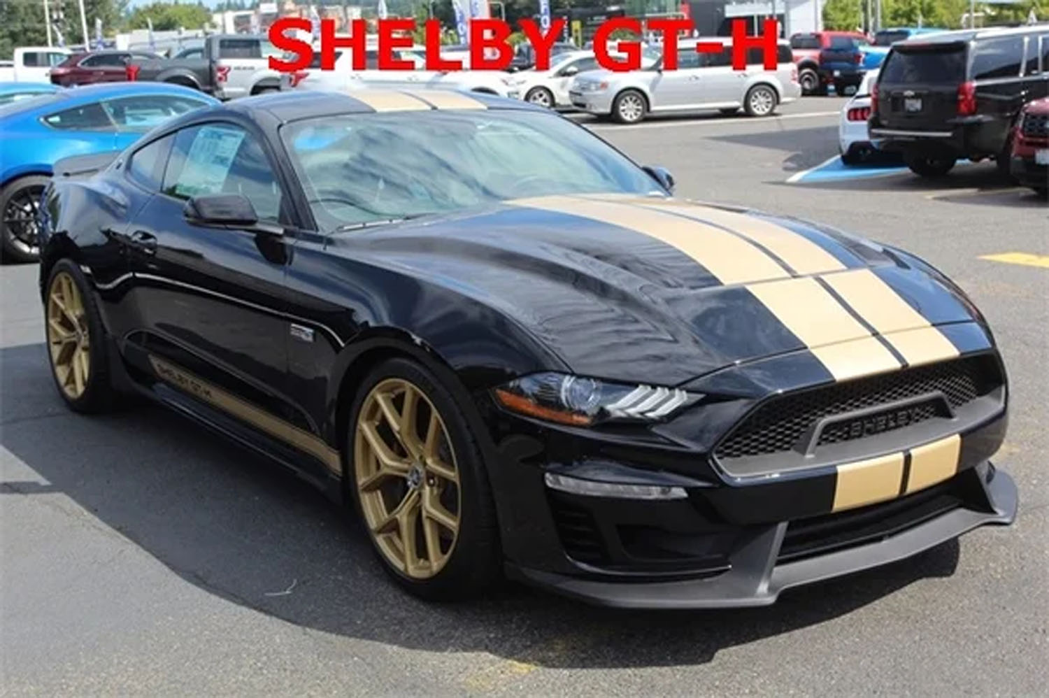 Ford Shelby Gt-H Wallpapers