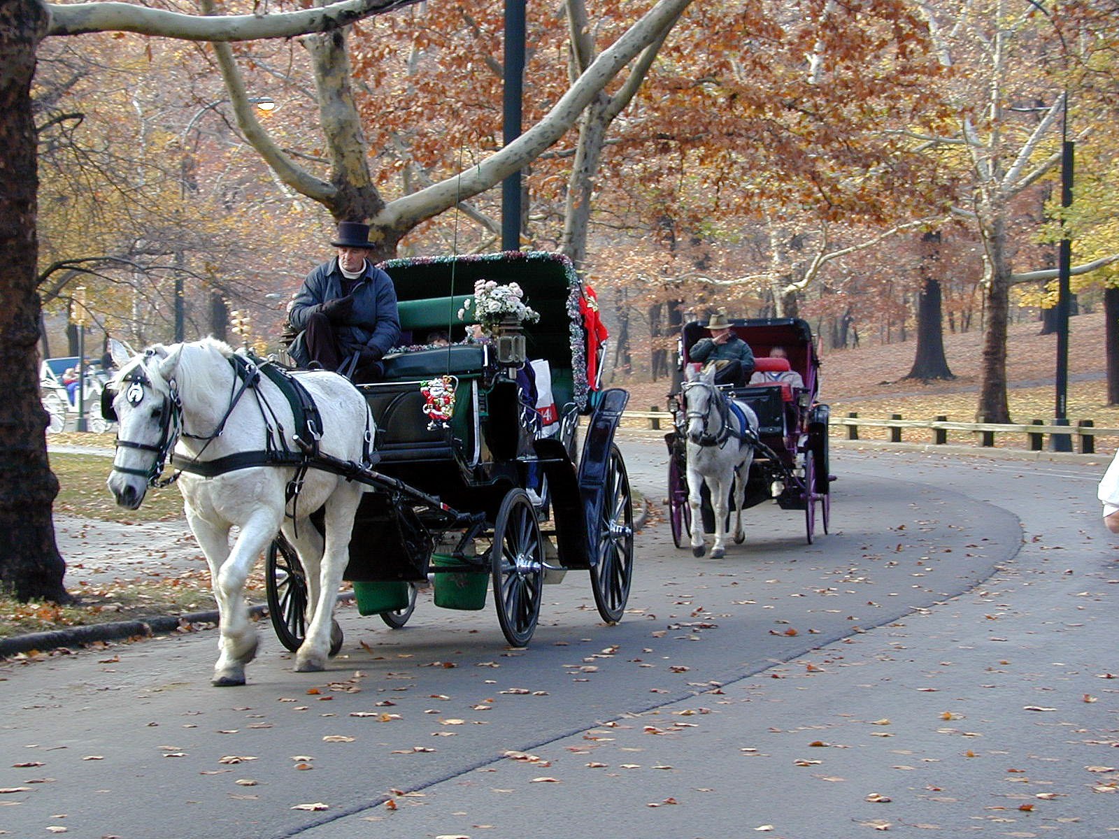 Horse Drawn Vehicle Wallpapers