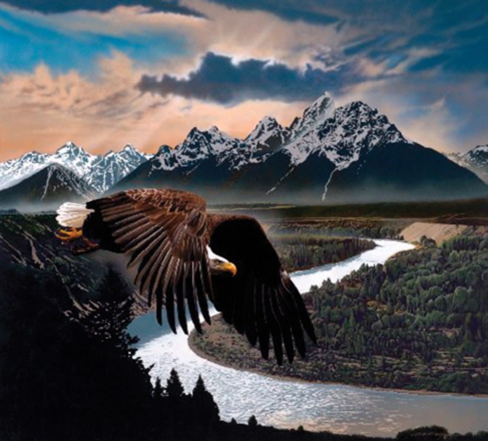 International Eagle Wallpapers