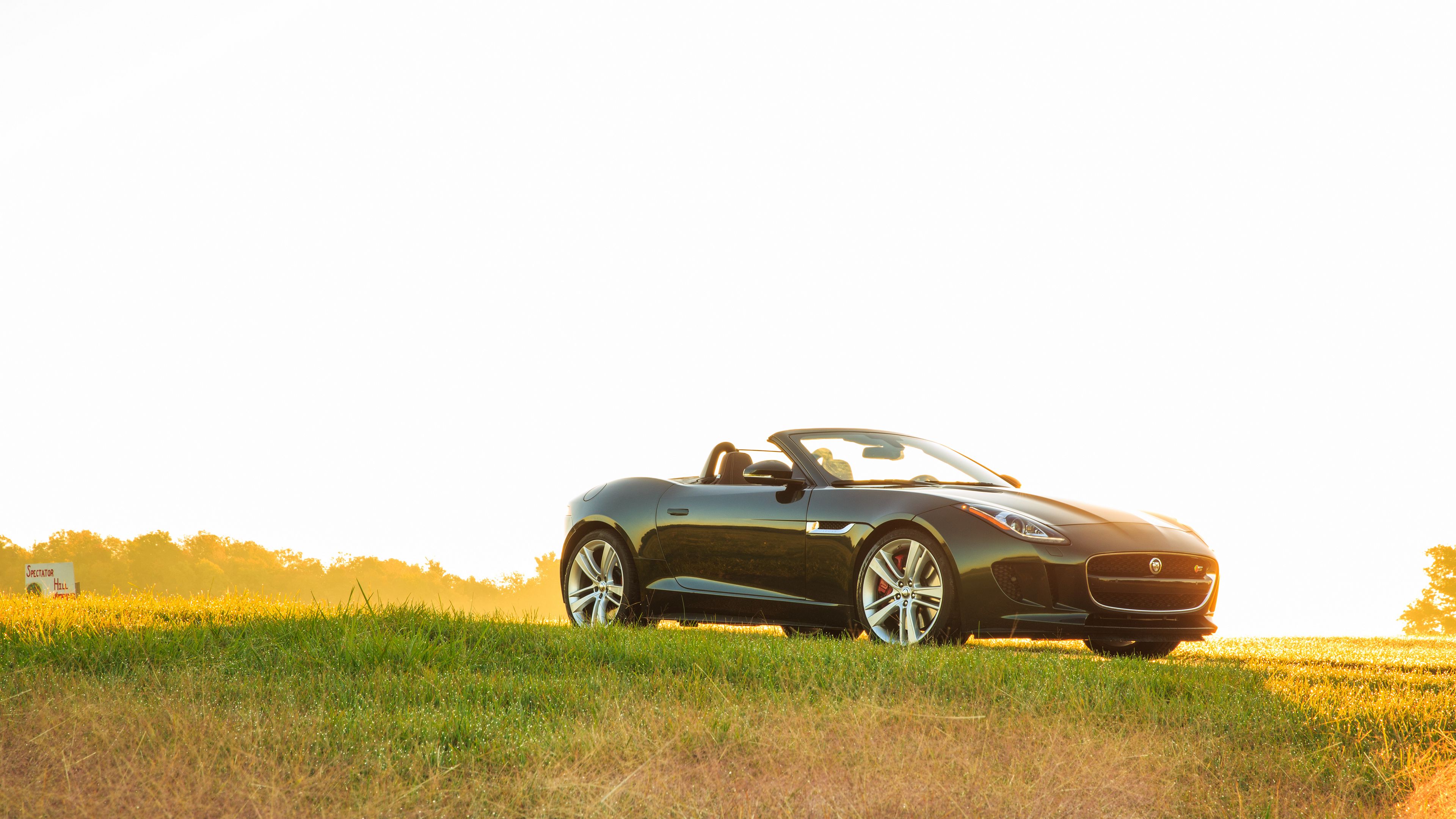 Jaguar F-Type S Convertible Wallpapers