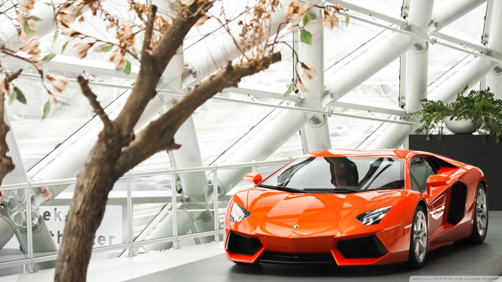 Lamborghini Aventador Lp 700-4 Wallpapers