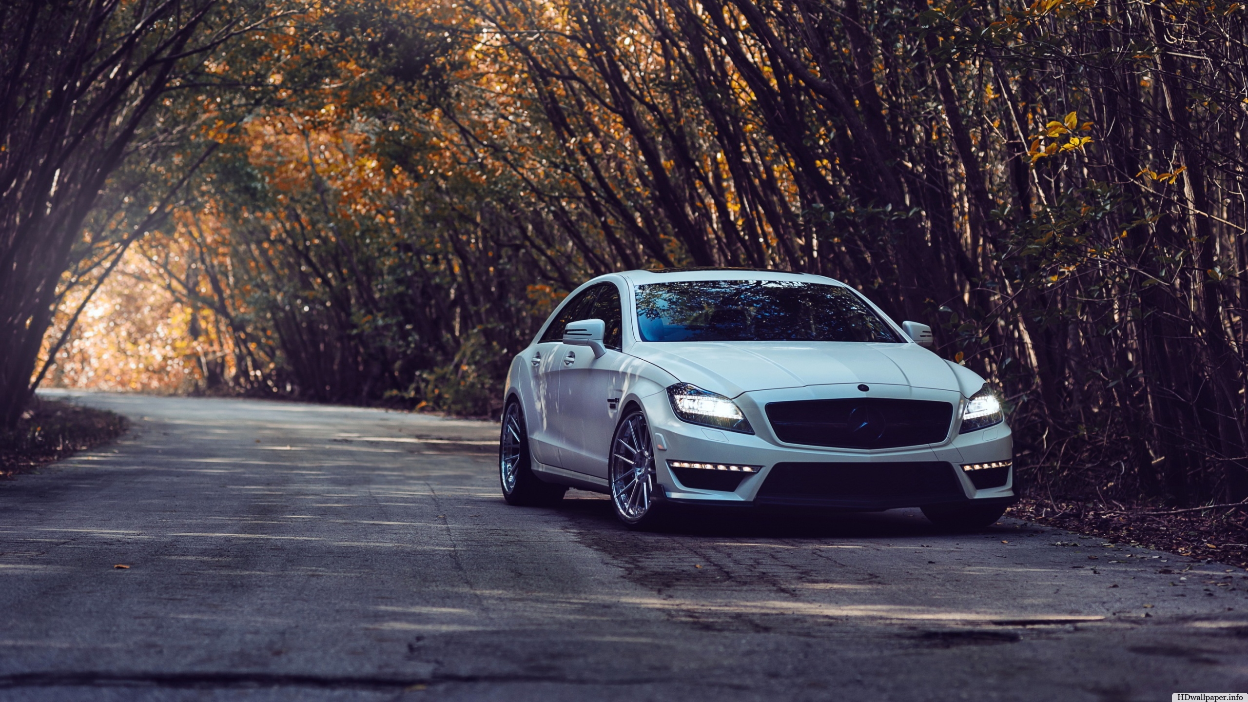 Mercedes-Benz Cls-Class Wallpapers