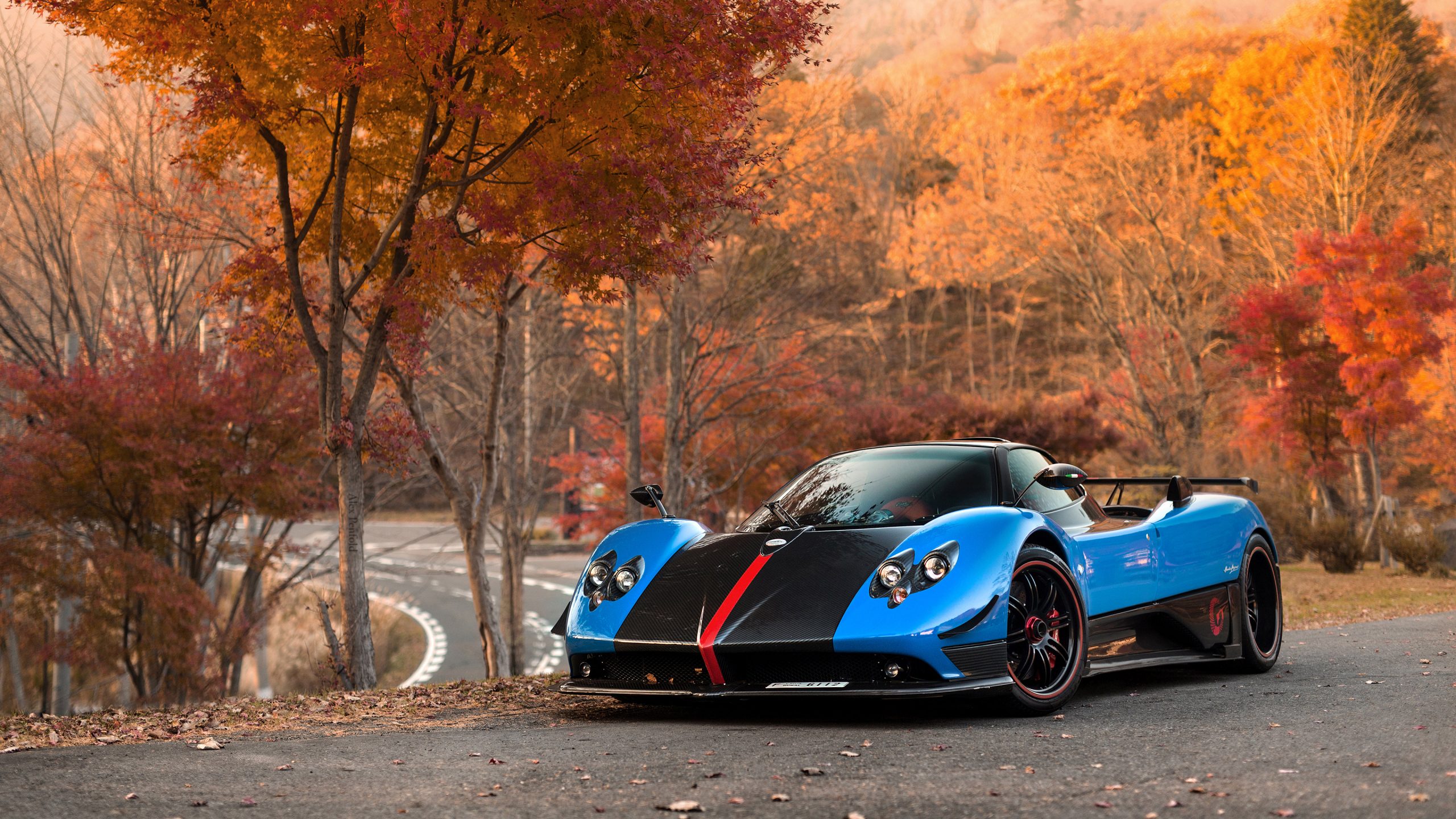 Pagani Zonda Cinque Wallpapers