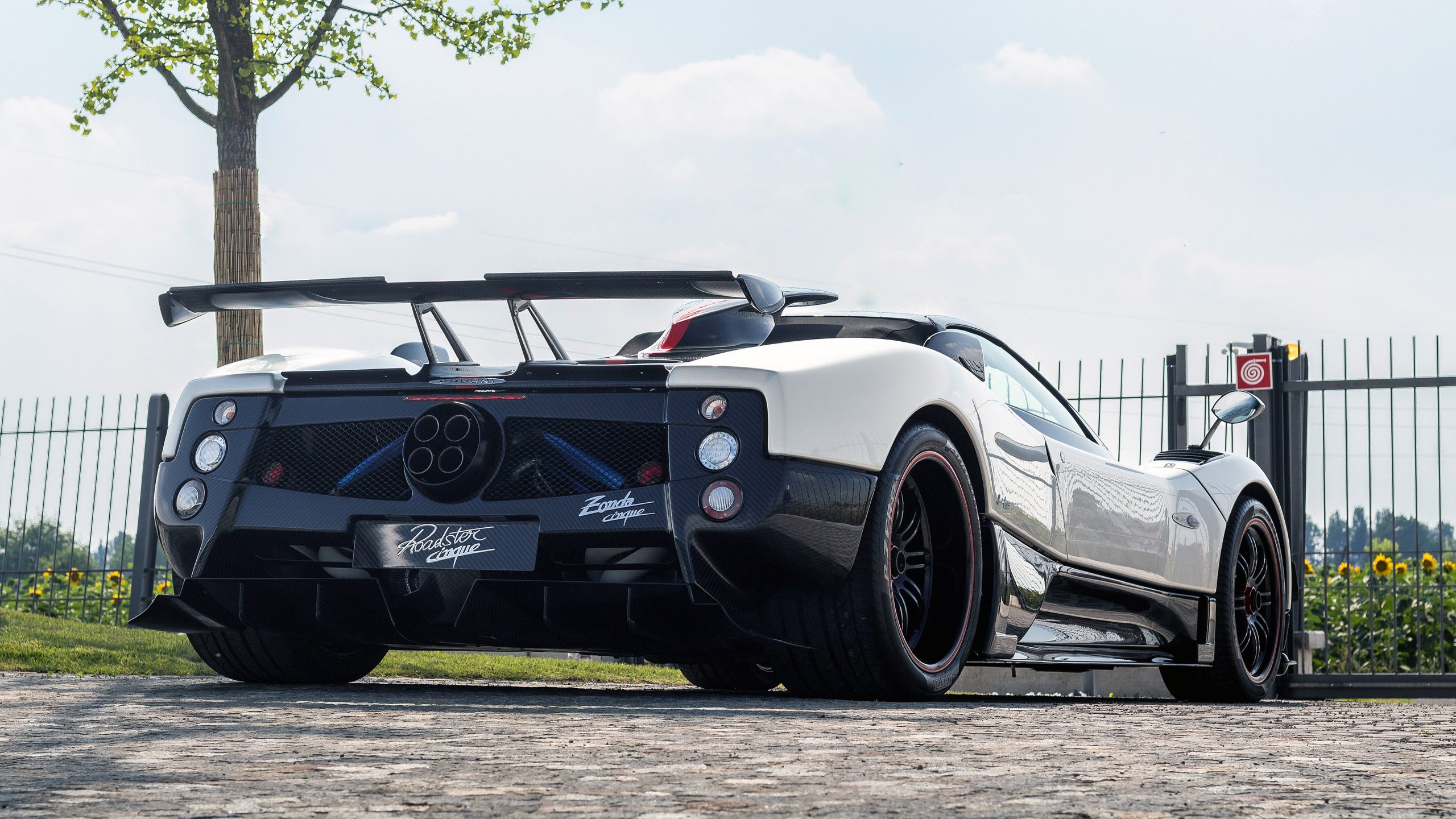 Pagani Zonda Cinque Wallpapers