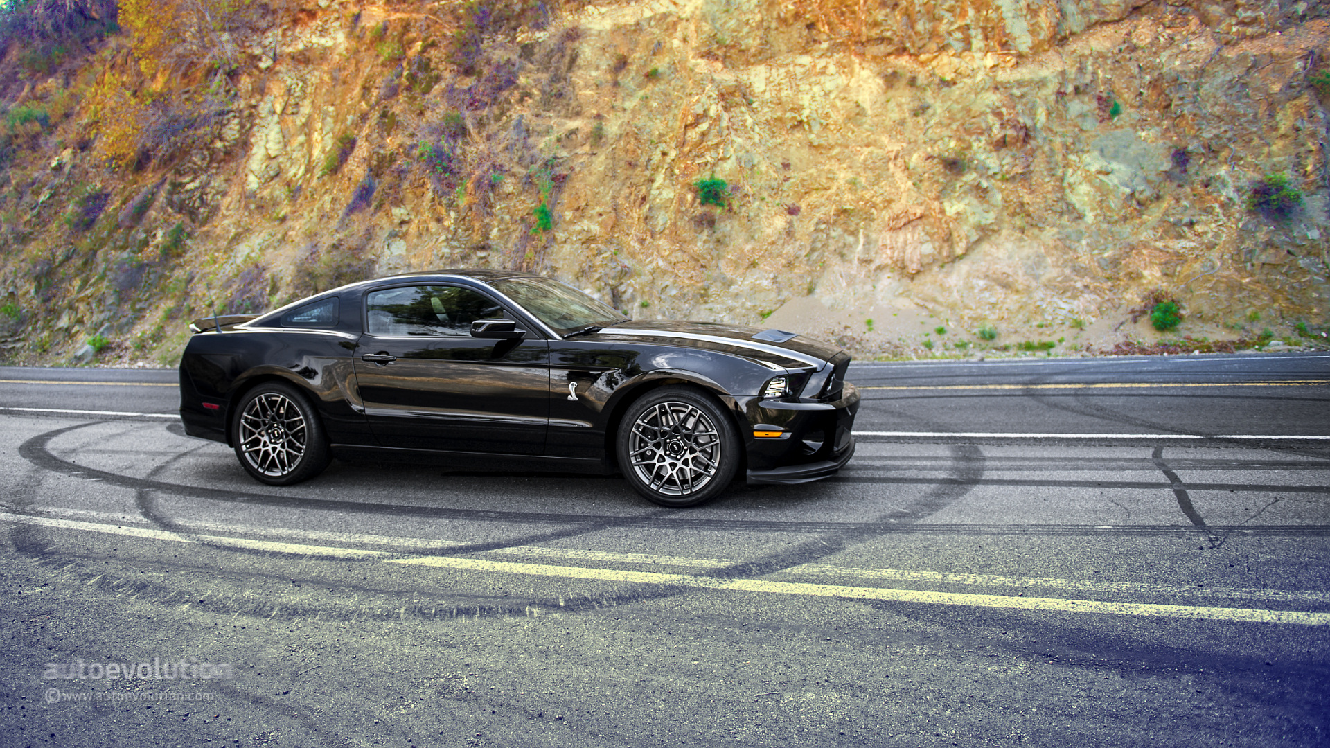 Shelby Gt500 Wallpapers