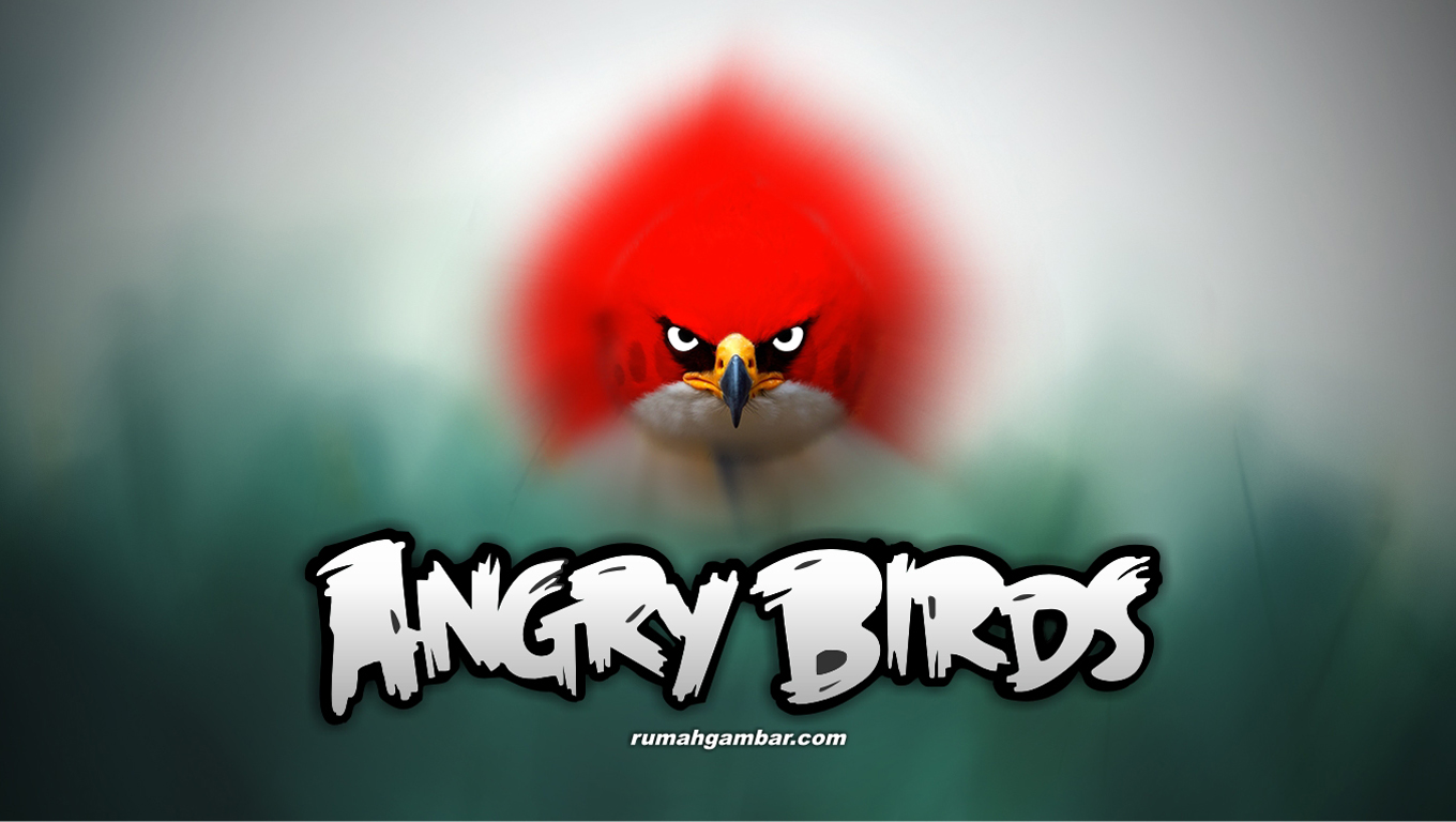 Angry Birds Wallpapers