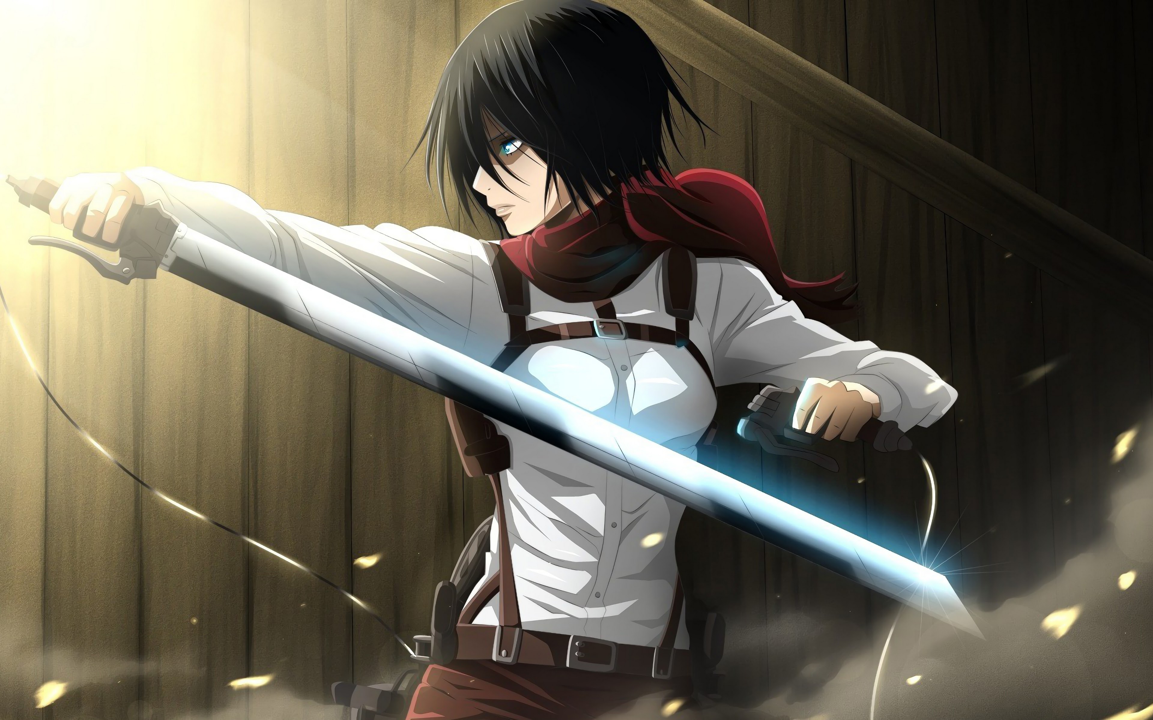 attack on titan mikasa ackerman Wallpapers