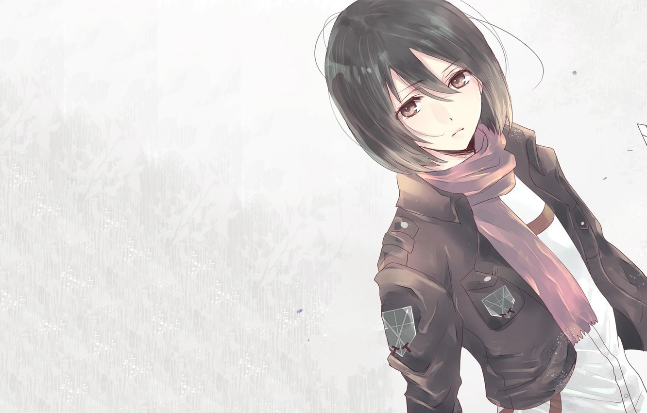 attack on titan mikasa ackermanWallpapers