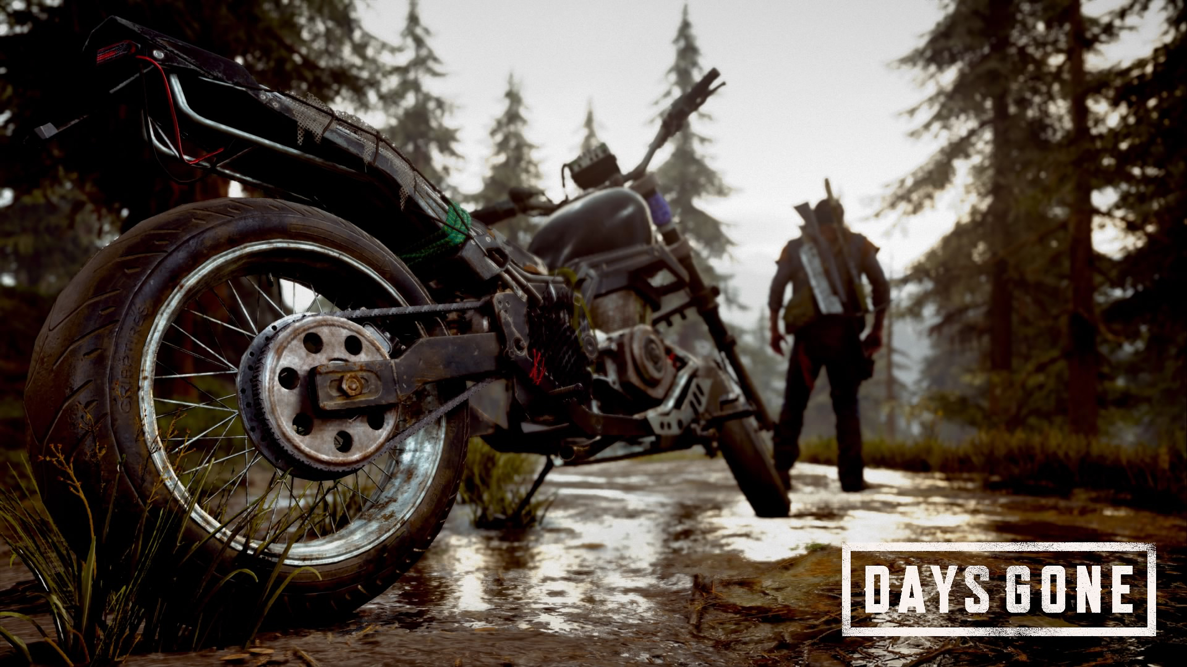 Days Gone Wallpapers