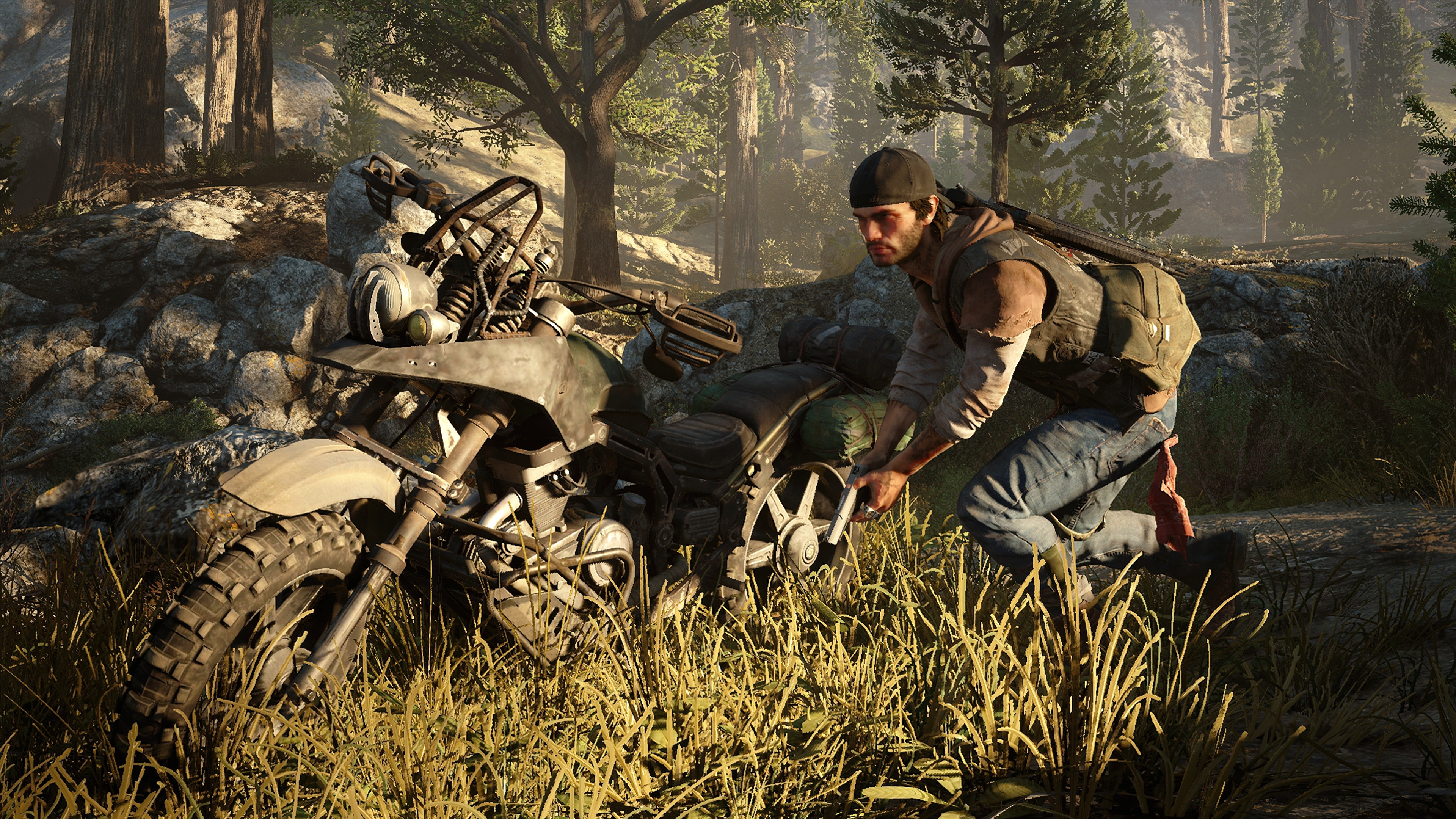 Days Gone New Wallpapers