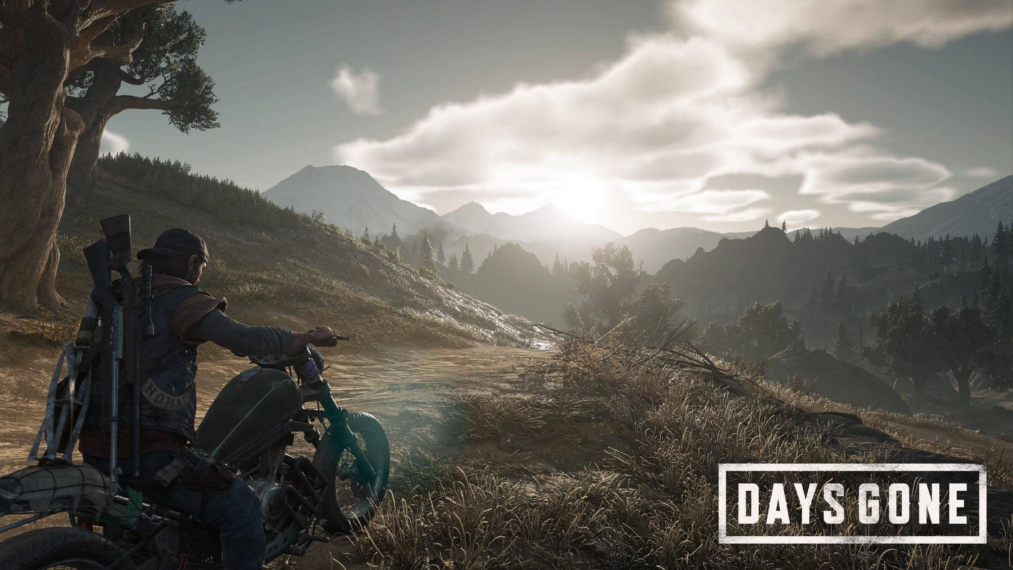 Days Gone New Wallpapers