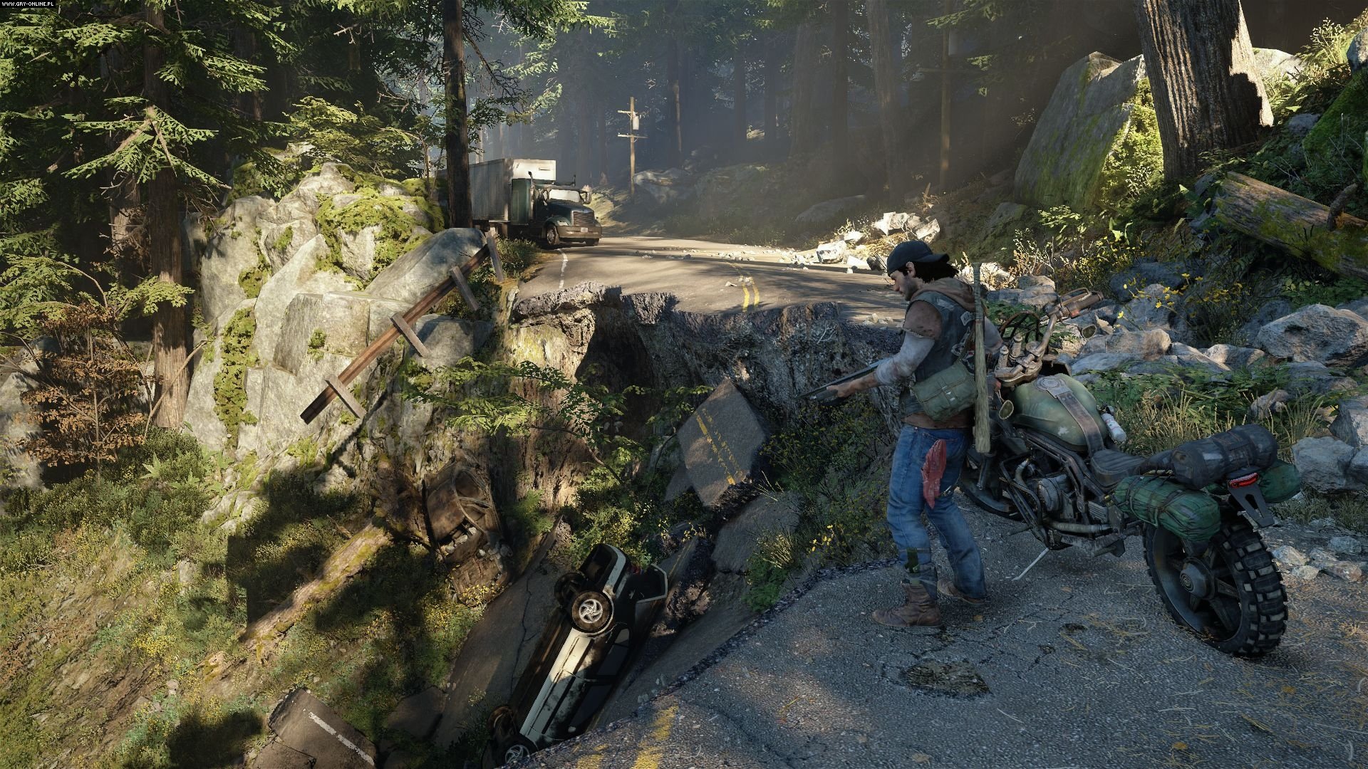 Days Gone New Wallpapers