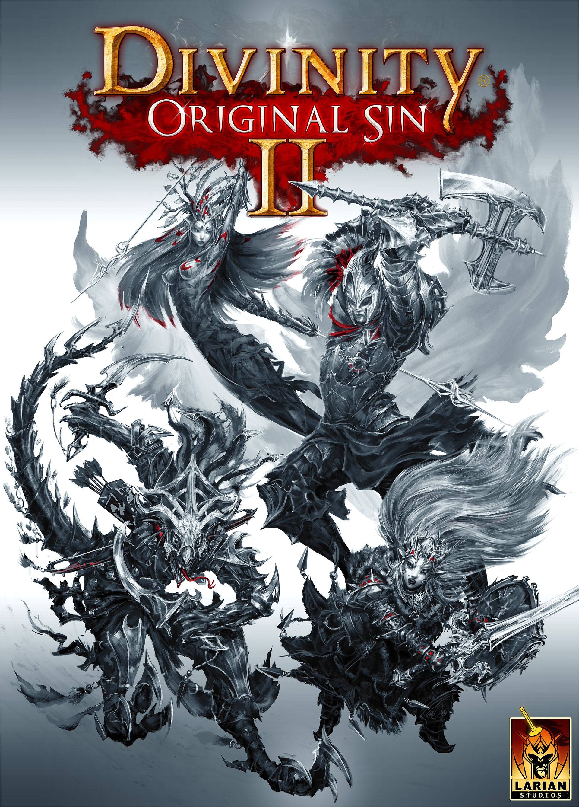 Divinity: Original Sin Wallpapers