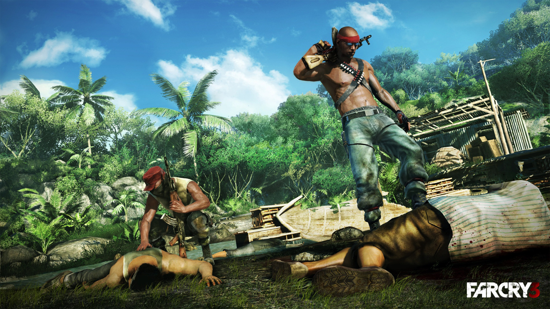 Far Cry 3 Wallpapers