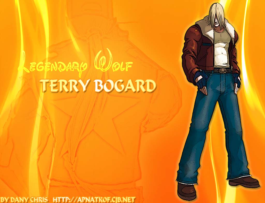 Fatal Fury Terry Bogard Wallpapers