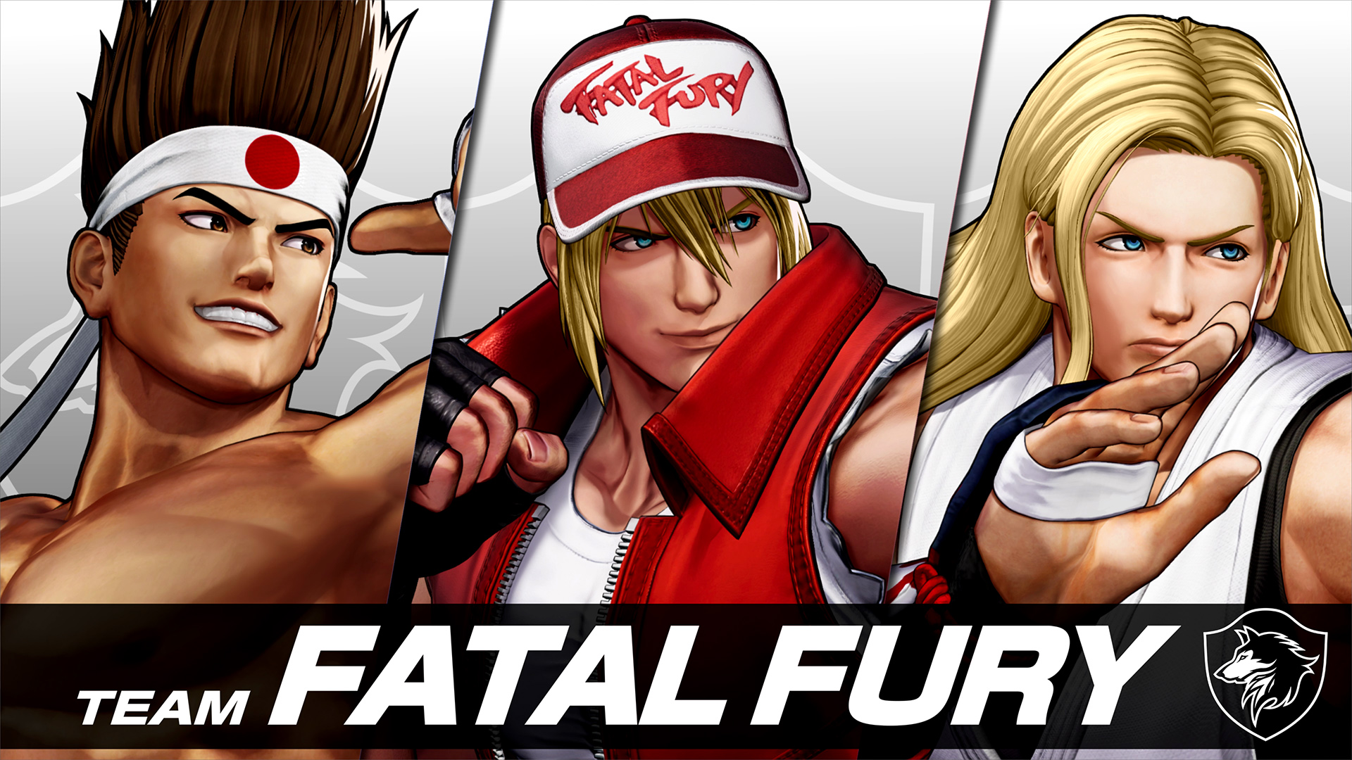 Fatal Fury Terry Bogard Wallpapers