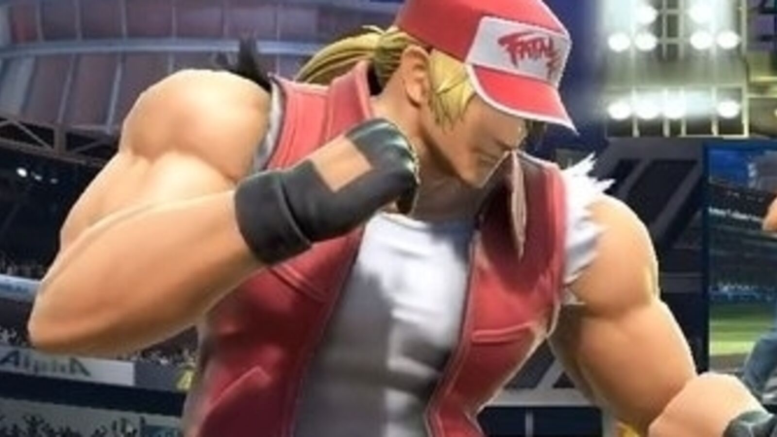 Fatal Fury Terry Bogard Wallpapers