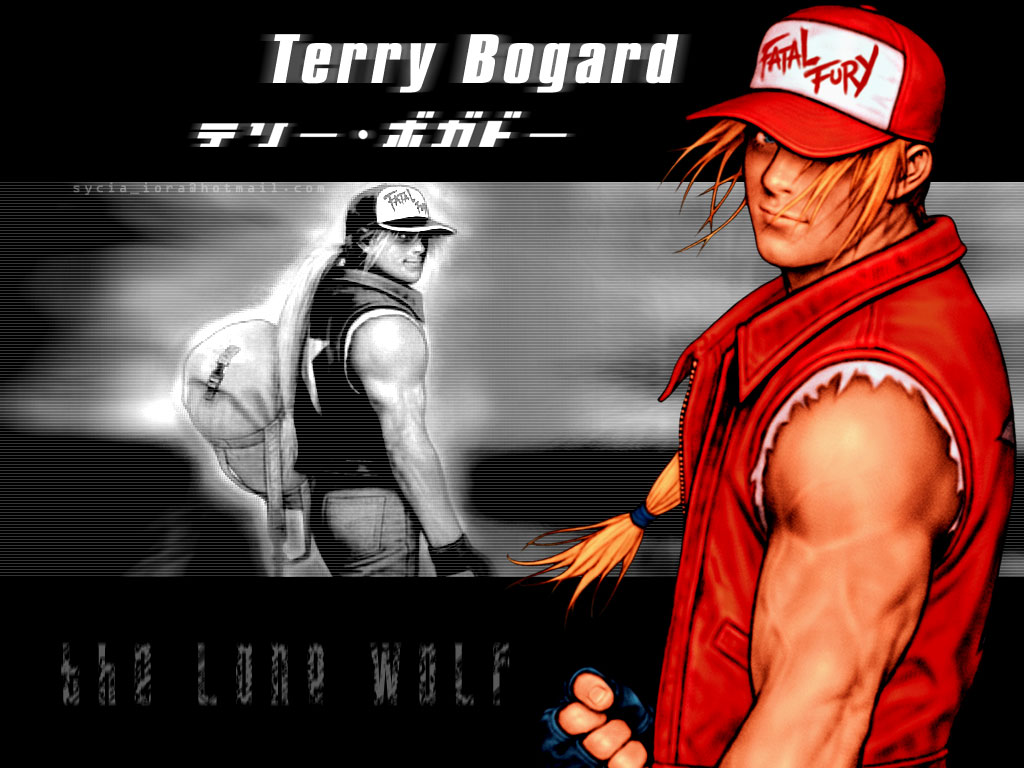 Fatal Fury Terry Bogard Wallpapers