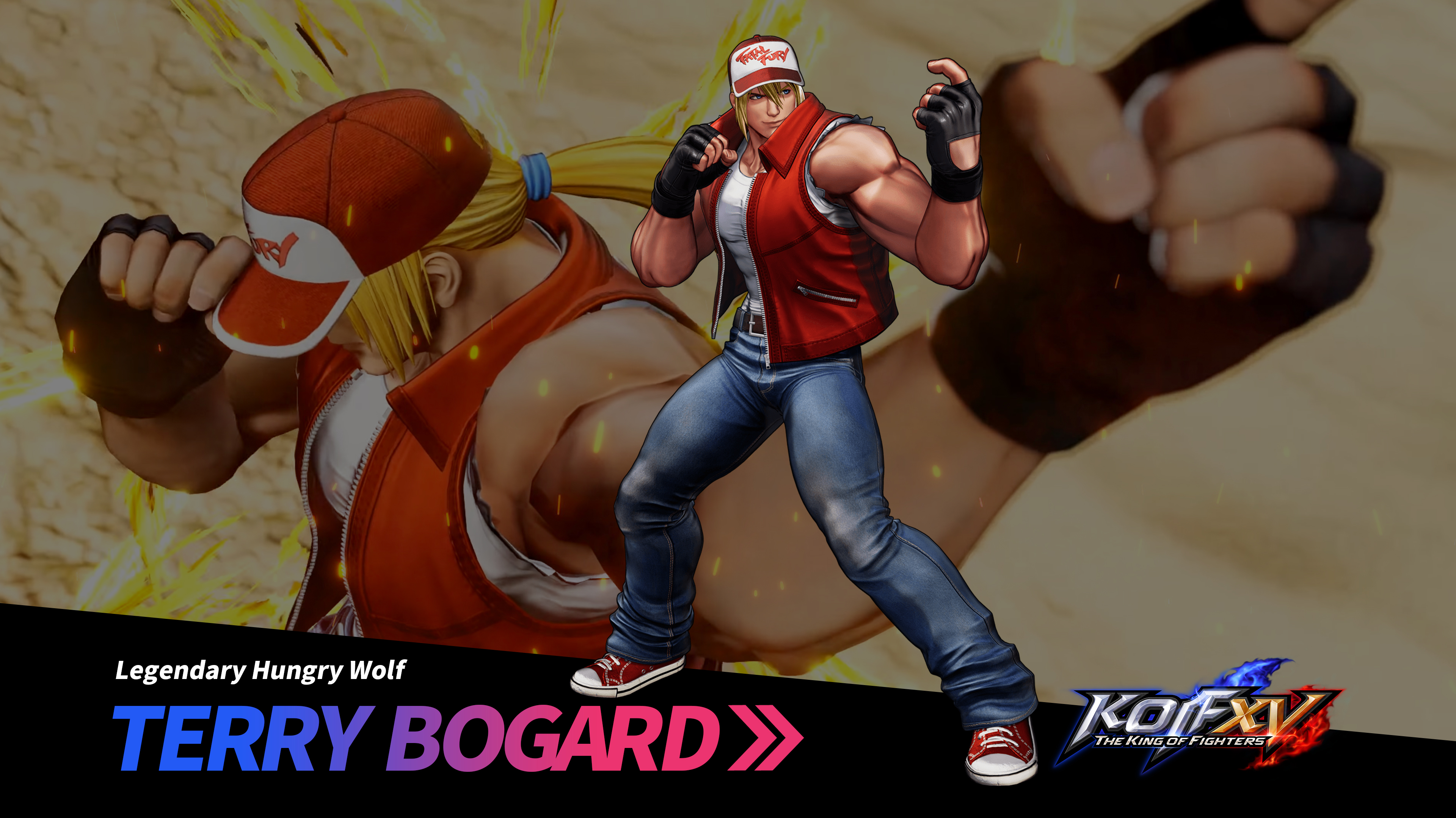 Fatal Fury Terry Bogard Wallpapers