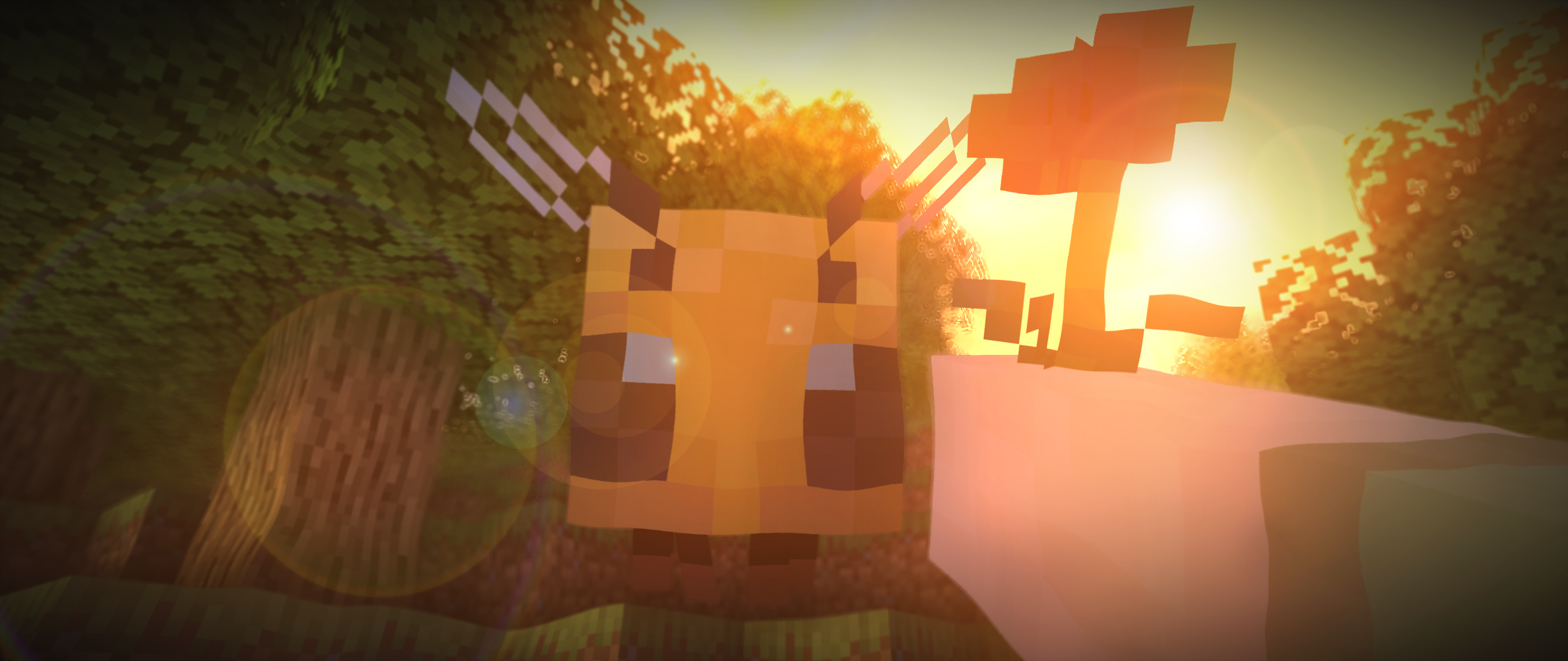 minecraft bee Wallpapers