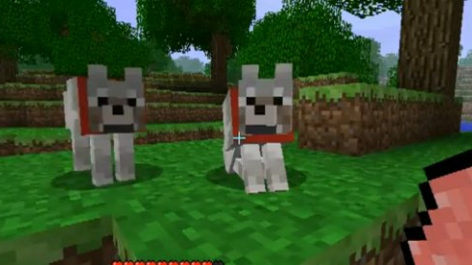 minecraft cute wolfWallpapers