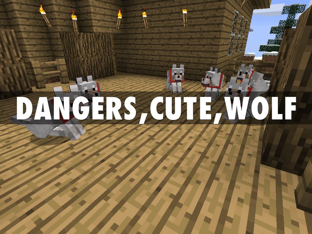 minecraft cute wolfWallpapers