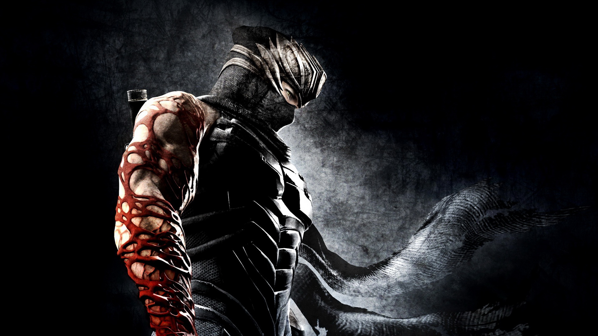 Ninja Gaiden 3 Wallpapers