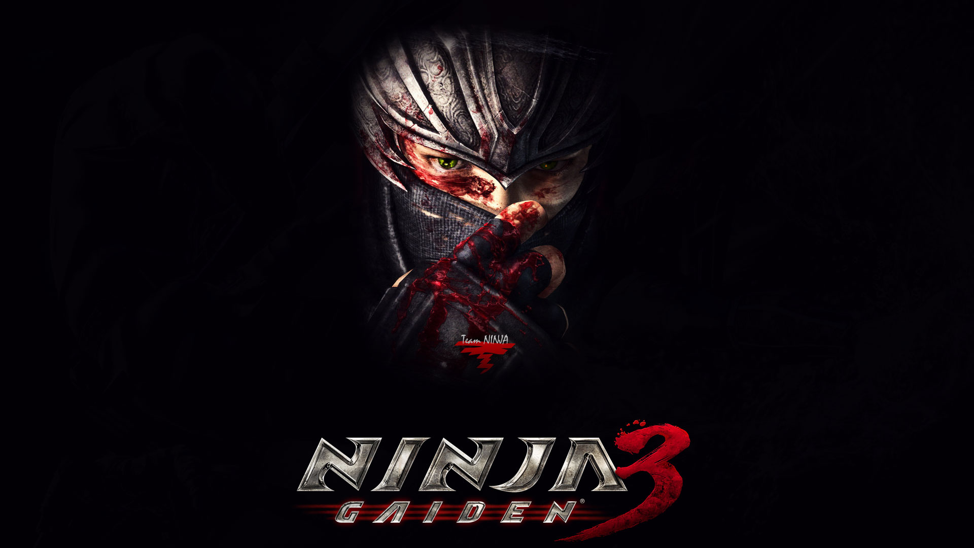 Ninja Gaiden 3 Wallpapers