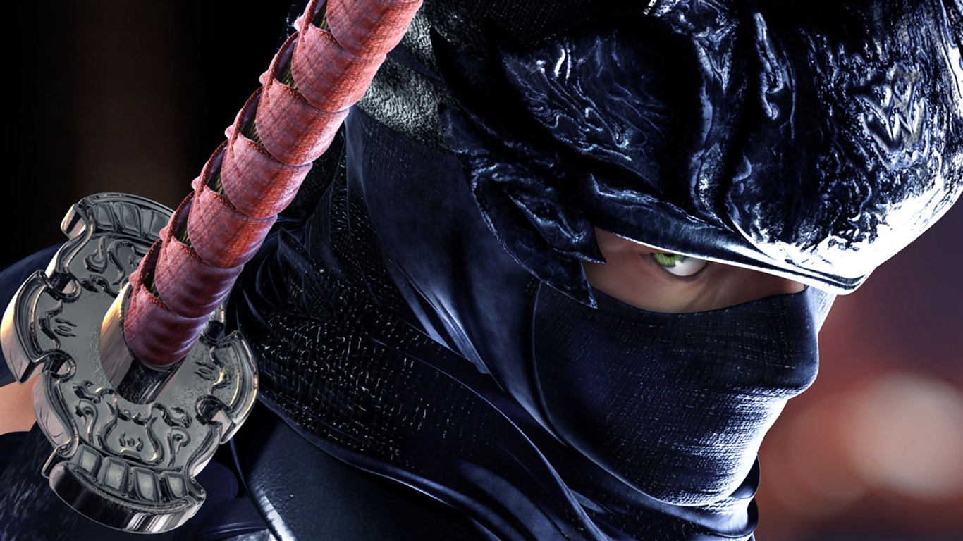 Ninja Gaiden 3 Wallpapers