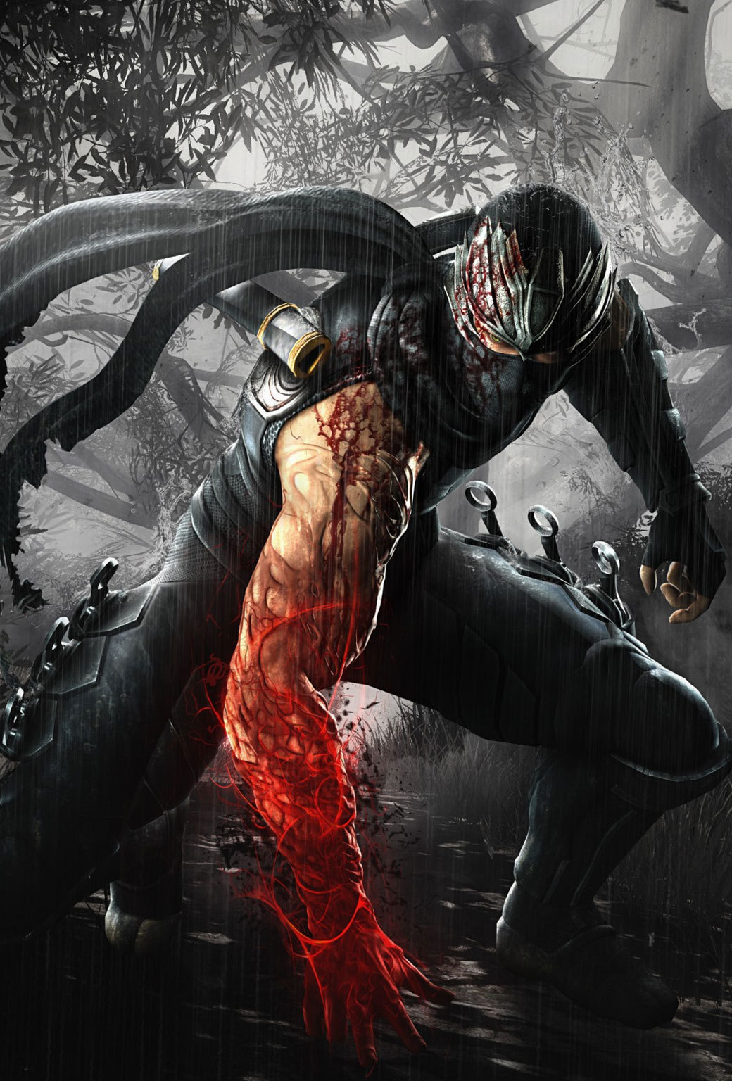 Ninja Gaiden 3 Wallpapers