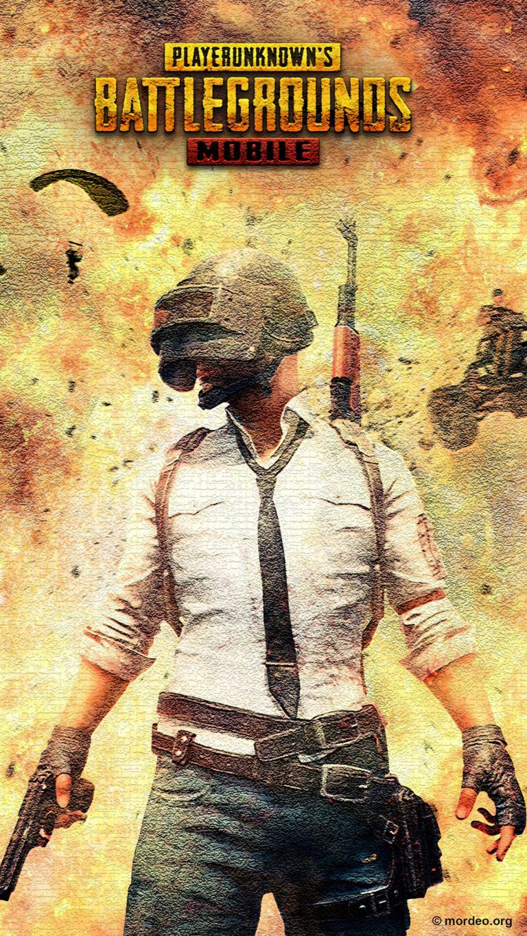 Playerunknown's Battlegrounds 14 Wallpapers