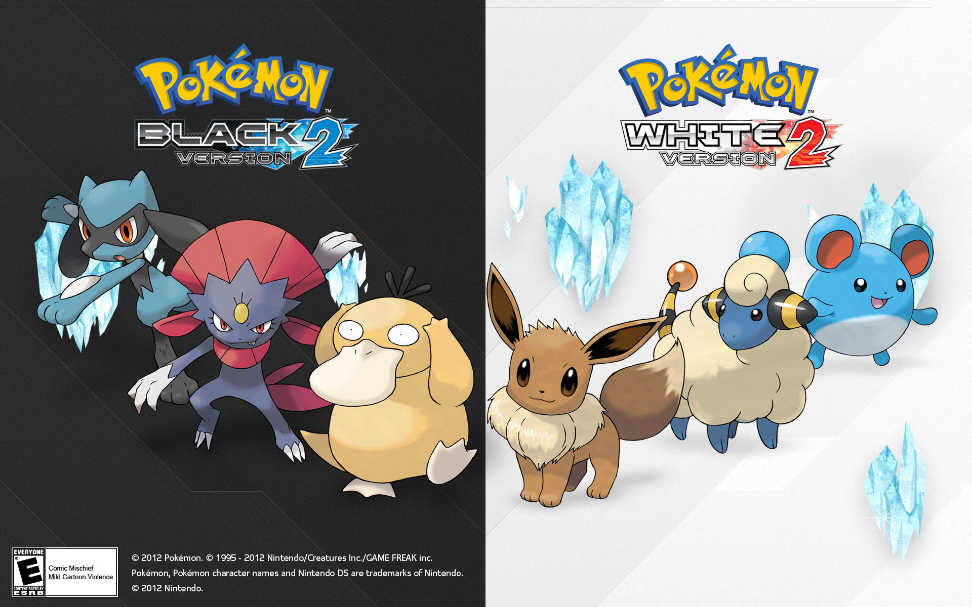 Pokemon: Black and White Wallpapers