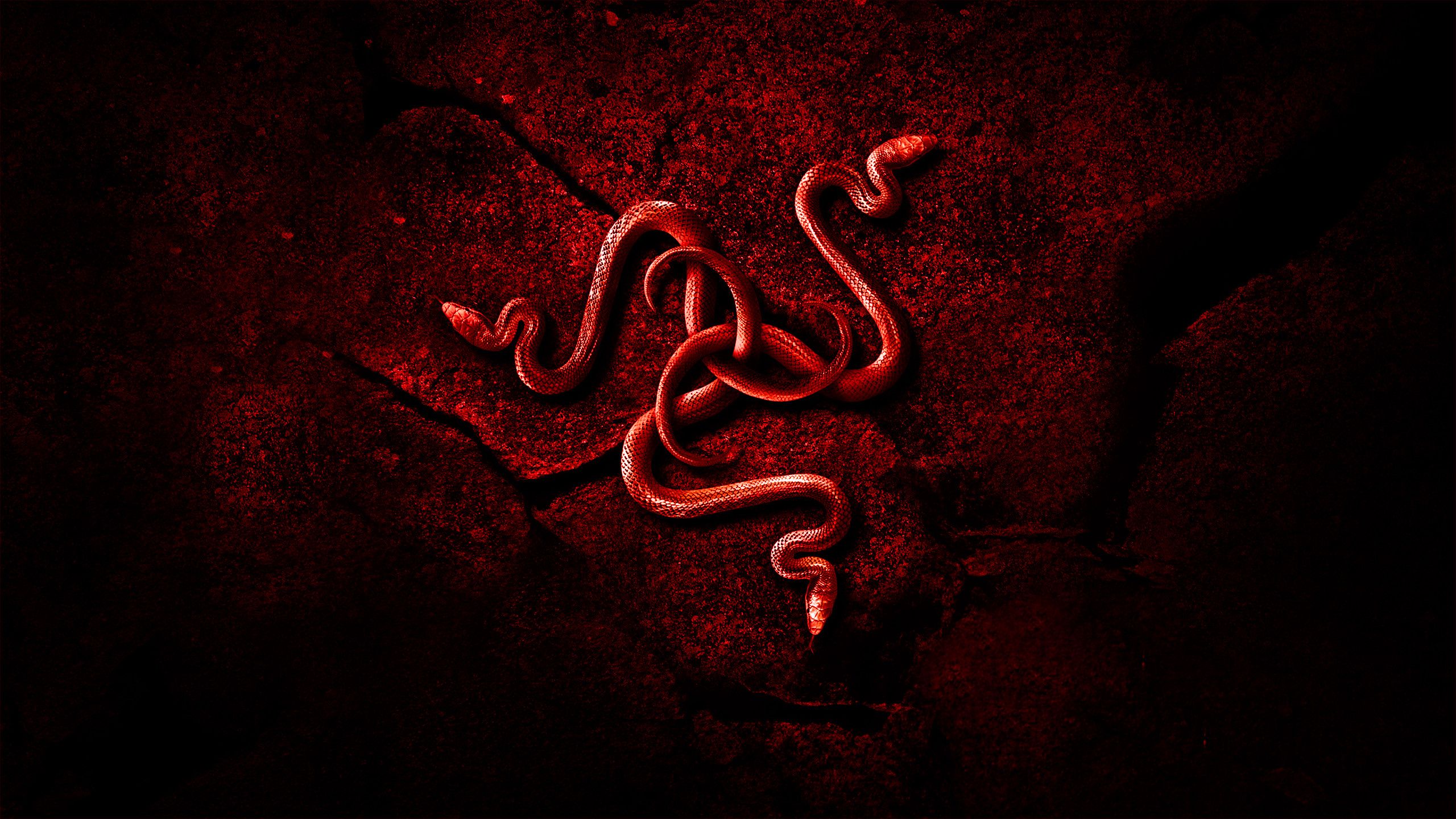 Red Razer Ancient Logo Wallpapers