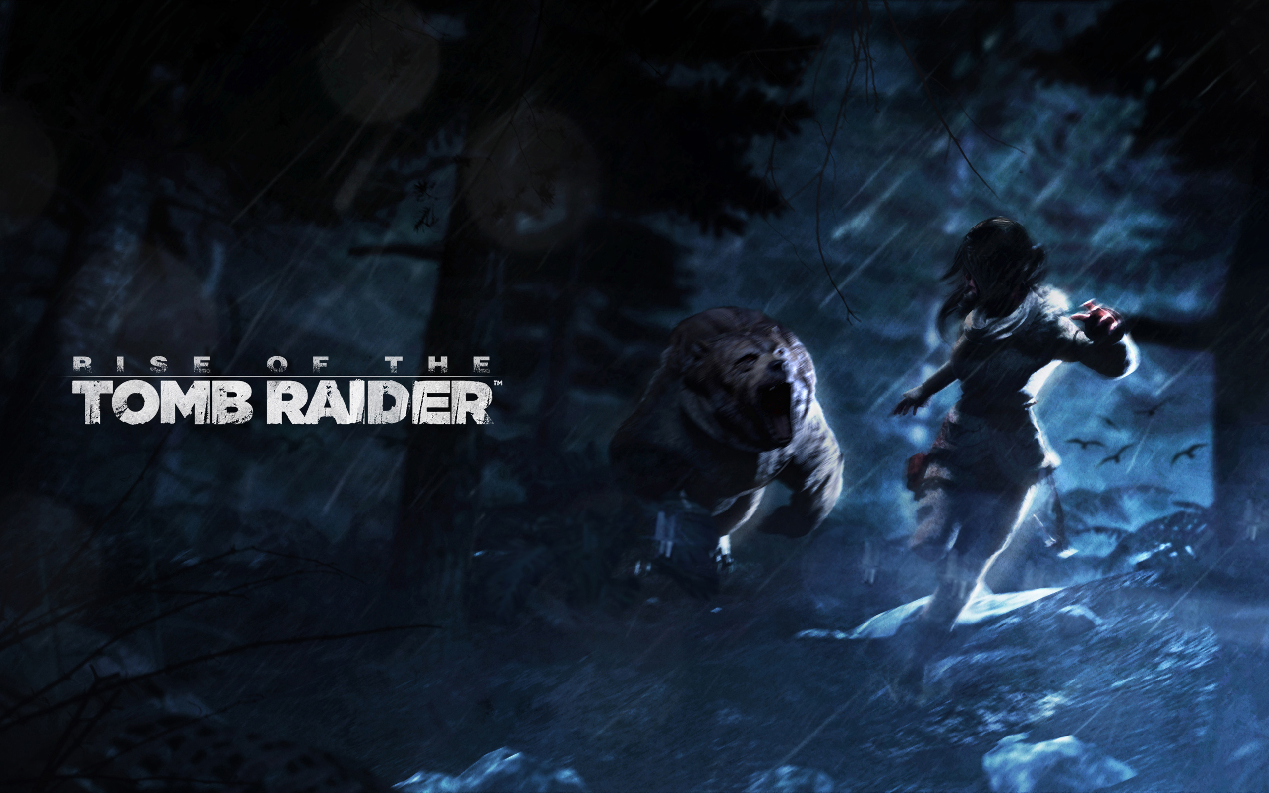 Rise of the Tomb Raider Wallpapers