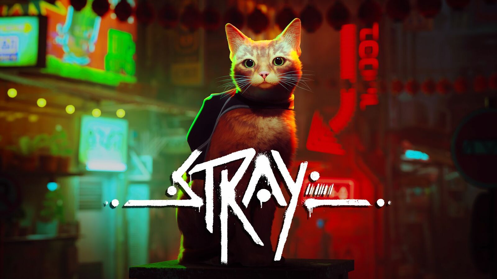 Stray Game Cat Wallpapers