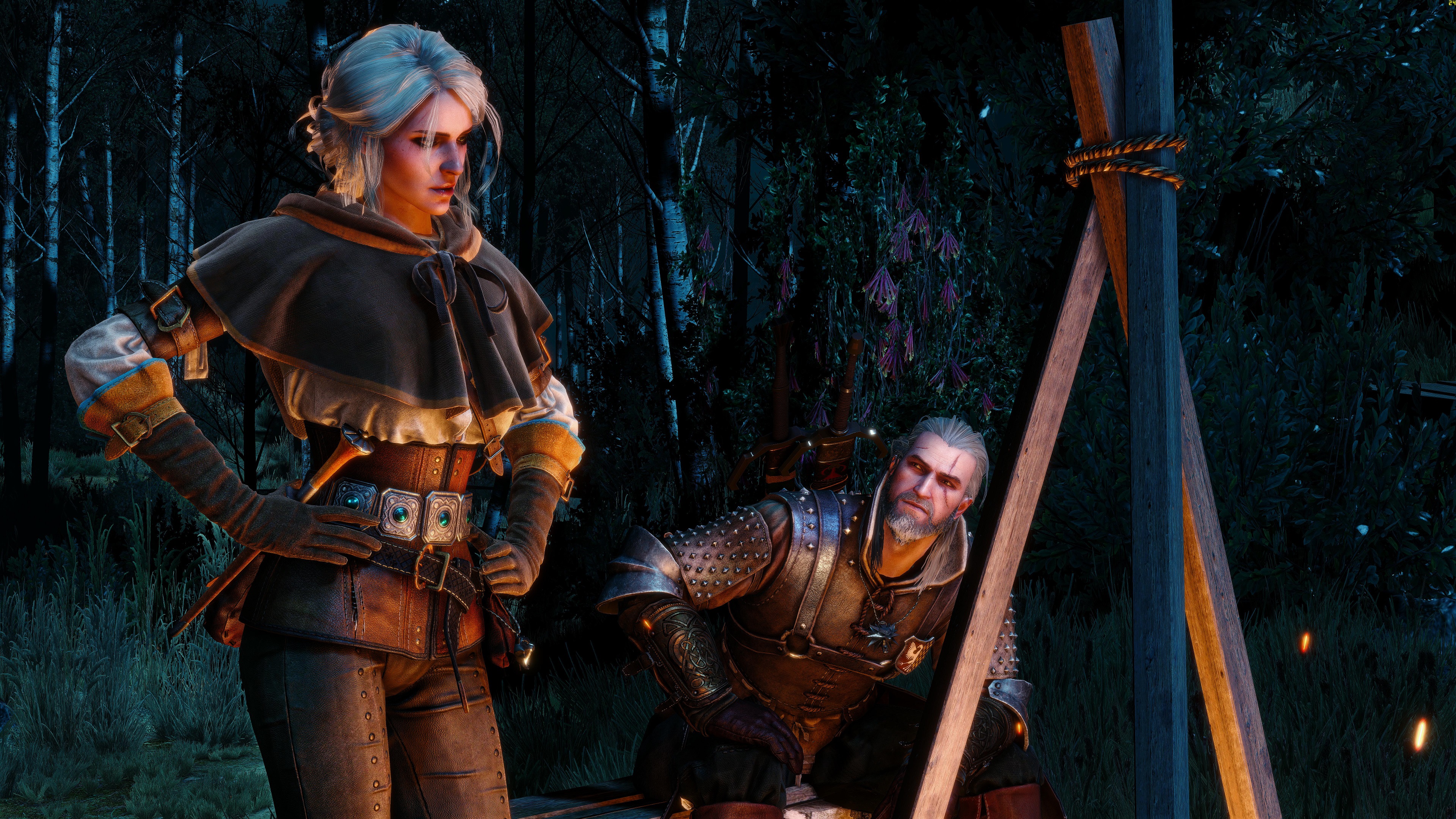 The Witcher 3: Wild Hunt Wallpapers