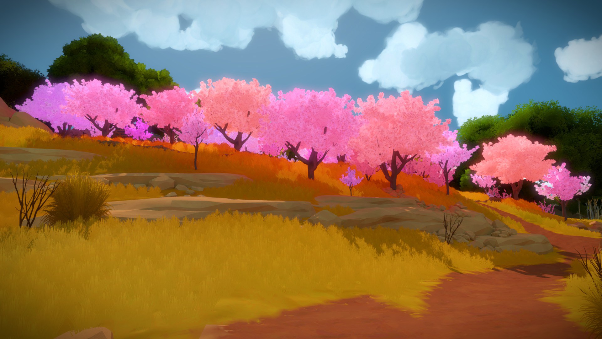 The Witness Wallpapers