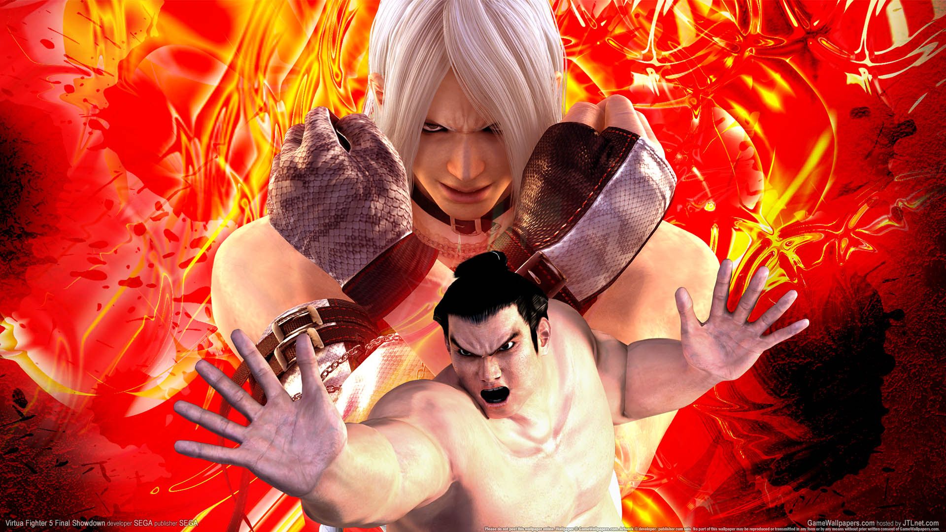 Virtua Fighter 5 Ultimate Showdown Wallpapers