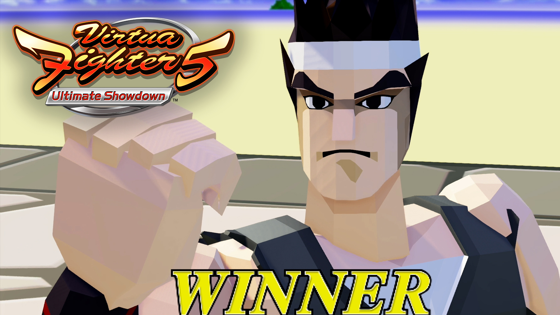 Virtua Fighter 5 Ultimate Showdown Wallpapers