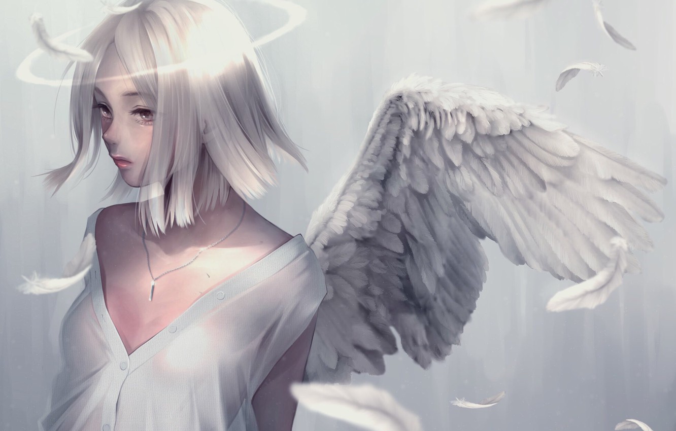 Anime Angel Girl
 Wallpapers