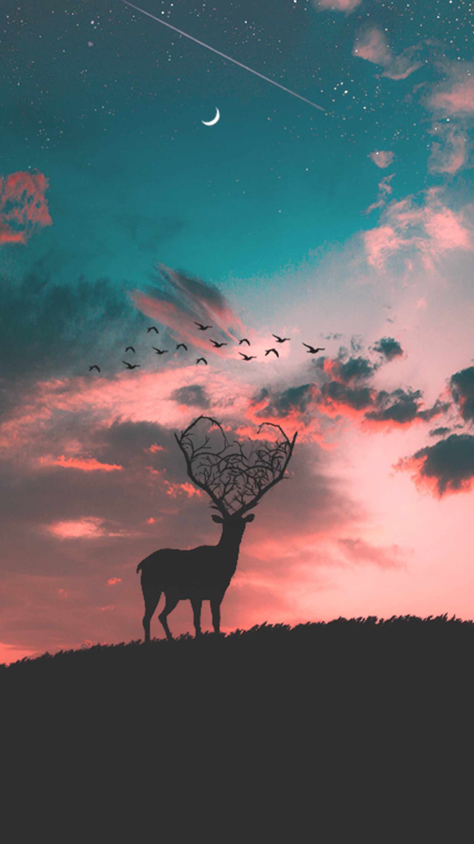 Deer Staring At Sunset Anime
 Wallpapers