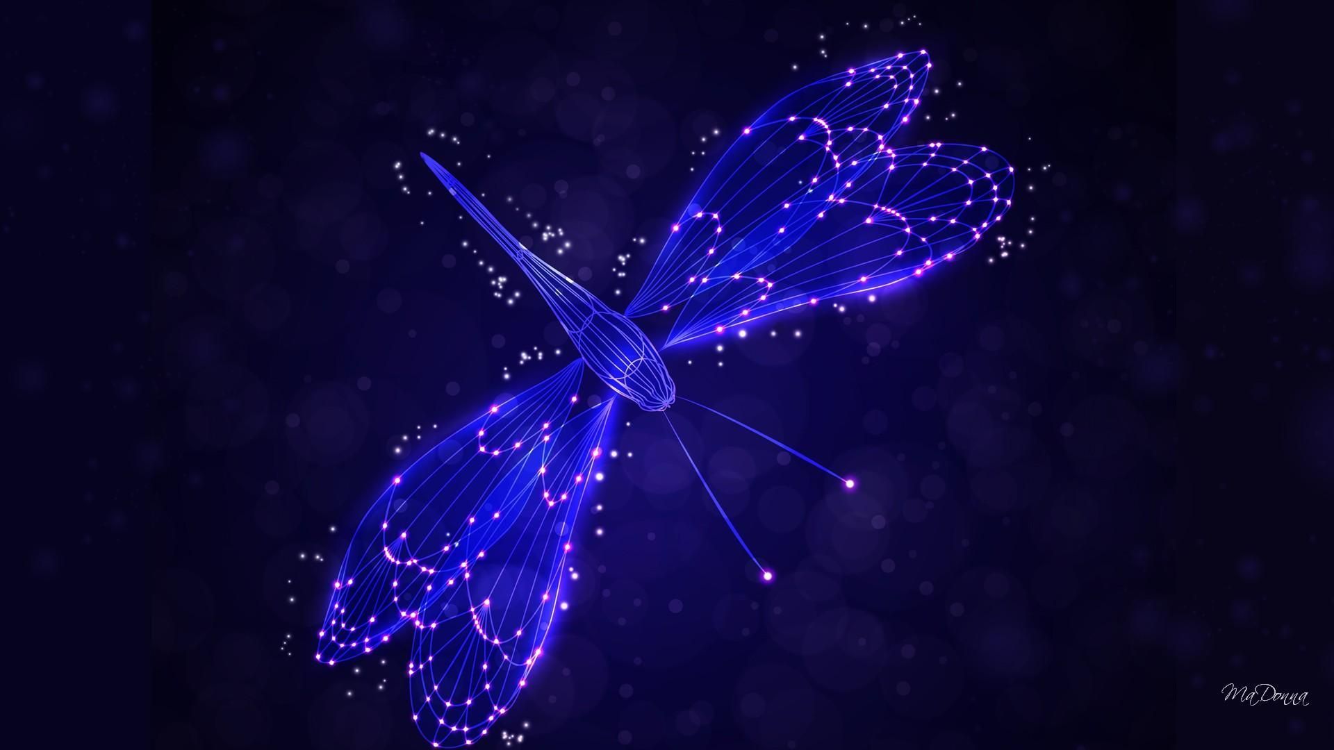 Dragonfly
 Wallpapers