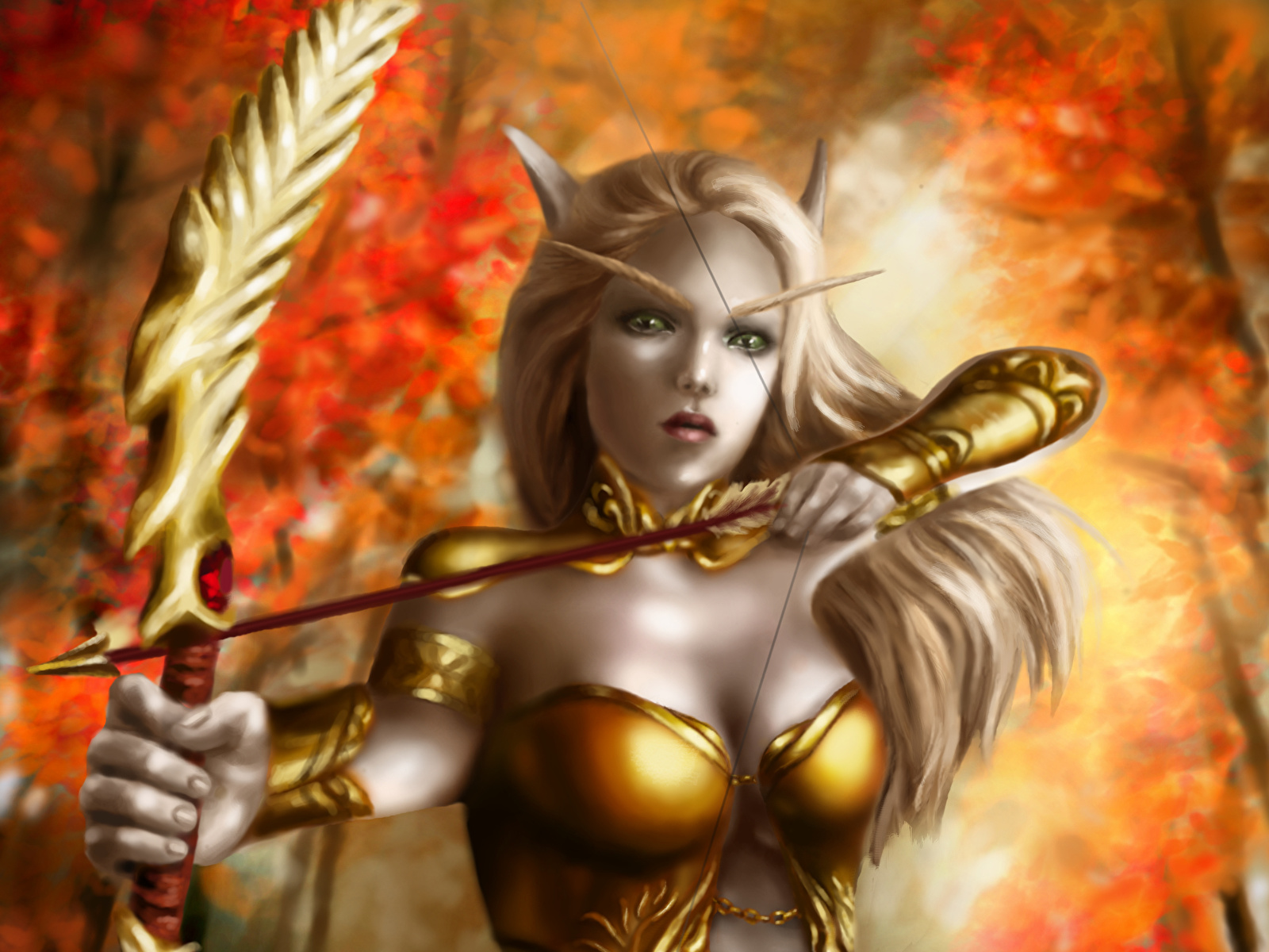 Elf  Woman Archer Warrior
 Wallpapers